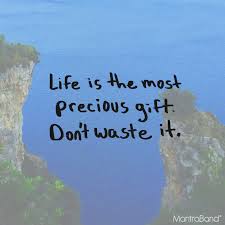 The Time You Enjoy Wasting Is Not Wasted Time Meaning In Hindi Mantraband Blog Precious Gifts Powerful Words Inspirational Quotes