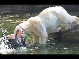 Image result for animals attacking people