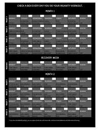 Insanity Workout Schedule Free Download