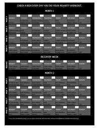 insanity workout schedule free download