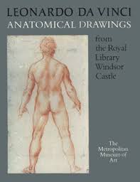Zygote scenes is a collection of scenes created by zygote media group with annotations identifying anatomical landmarks. Leonardo Da Vinci Anatomical Drawings From The Royal Library Windsor Castle Metpublications The Metropolitan Museum Of Art