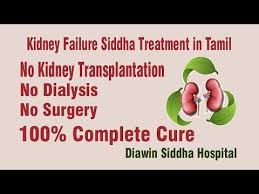 Videos Matching Kidney Failure Natural Treatment In Tamil