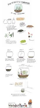 Incredible Diy Terrarium Ideas Como Hacer Terrarios Como Hacer Un Terrario En Casa Terrarios