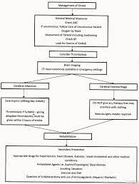 Stroke Neurology Brain Images Nursing Study Neurology