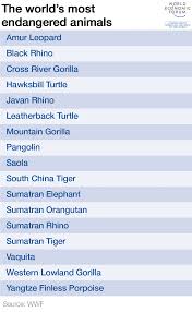 These Are The Worlds Critically Endangered Animals World