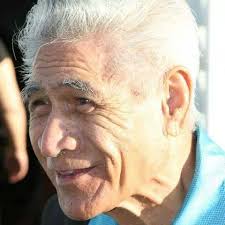 Exploring Rangaunu Harbour with a 6-year-old