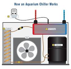 How Does An Aquarium Chiller Work Marinedepot Com Aquarium Chiller Aquarium Systems Aquarium