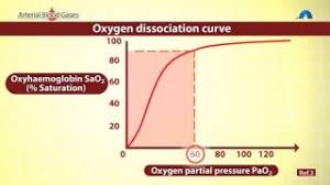 How many liters of oxygen is high flow? The Relationship Between Oxygen Flow Rate And Fio2