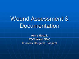 Wound Assessment Documentation Ppt Video Online Download