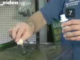How long does a tropical fish tank take to set up? How To Set Up A Tropical Fish Tank Youtube