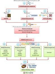 Modeling A Global Regulatory Network Of Methanothermobacter Thermautotrophicus Strain H Springerlink