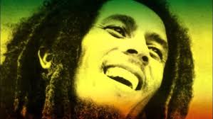 Three Little Birds ( Don't Worry About a Thing )