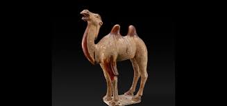 In this overcrowded city all the buses were packed and i had had to wait more than twenty minutes before a conductor would let me get on a bus. Tang China Earthenware Camel History 2701 Wiki Fandom