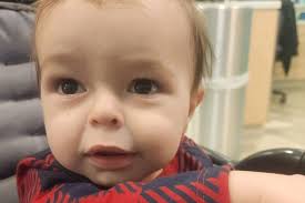 Fundraiser by Katherine Tomlinson : Get Maximus to DC for surgery!