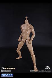 3d render illustration of a human male body. 1 6 Scale Muscle Male Body
