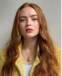 Violets & Vengeance || Inheritance Games