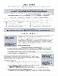Resume Executive Summaries - Cover letter samples - Cover letter samples