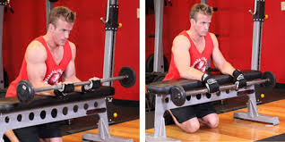 Big forearms also tend to mean you have a strong grip which always comes in handy. How To Get Bigger Forearms Science Based Squat Wolf