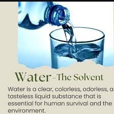 Image result for Carpolobia alba