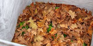 Chemically treat mold, then sweep it off with a soft broom. What Is Leaf Mulch And How To Make It Flymo