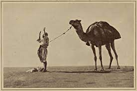 How does the nurse describe violets condition. The Project Gutenberg Ebook Of Zigzag Journeys In The Camel Country By Samuel M Zwemer And Amy E Zwemer