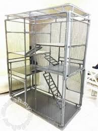 10 cara membuat wanita terangsang orgasme wanita. Sangkar Kucing Besar 6x5x3 Kaki Cat Cage Pets For Sale In Putrajaya Selangor Cat Cages Outdoor Cat House Pet Enclosure