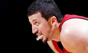 Raptors to ship Turkoglu to Suns: report