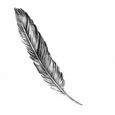 Beylikduzudovme Kus Tuyu Dovmeleri Tattoo Piercing