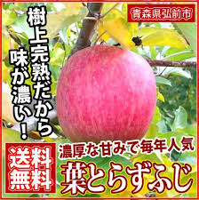 葉とらずふじ 青森 石岡りんご園 りんご 11月中旬 産地直送 農家の台所 Web Shop