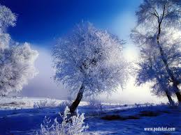 Sort by newest first , cool pictures, beautiful images, rose flowers, beautiful natural image download, beautiful scenery, new photo download, natural image download, background, romantic love pictures, beautiful nature, hd. 73 Snow Wallpaper Free On Wallpapersafari