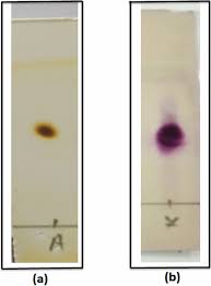 Image result for Hymenodictyon parvifolium