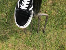 Check spelling or type a new query. How To Flood Proof Your Garden