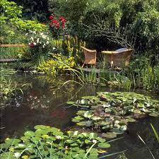 New & used (2) from $9.60 & free shipping on orders over $25.00. Gartenteich Anlegen Bepflanzen Und Pflegen Praktische Tipps Living At Home