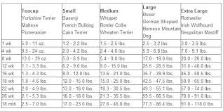 Things To Help Dogs With Separation Anxiety Pitbull Dog