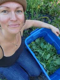 Farmstand open with fresh local produce