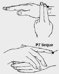 Points Du Meridien Du Poumon Medecine Alternative Acupression Poumon