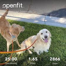 About us farmhouse goldens was established in bear lake idaho where the sires and dams were raised. Kennel Krew Taylormade Miniature Golden Retriever
