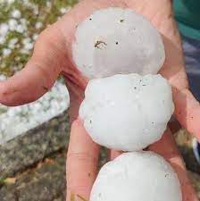 Magnaparma sells high quality italian food. Ensyab0hit38zm