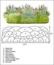 Ornamental Grass Design Ideas Would Have To Be Adapted To Our Zone Grasses Landscaping Garden Landscape Design Landscape Design