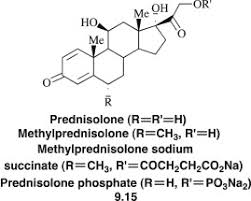 Image result for Prednisolone
