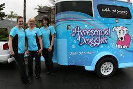 Catherine deconcini is a professional pet groomer and a proud owner of bubbles mobile pet grooming the dog grooming company in fairfax, va. Dog Groomers Near Me Mobile