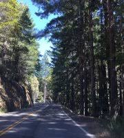 Maybe you would like to learn more about one of these? Standish Hickey State Recreation Area Leggett 2021 All You Need To Know Before You Go Tours Tickets With Photos Tripadvisor