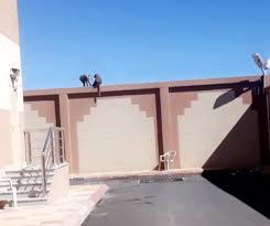 جامعة الملك خالد تفتح باب التقديم غدًا. Ø£Ø®Ø¨Ø§Ø± 24 Ø¨Ø§Ù„ØµÙˆØ± Ù‚Ø±ÙˆØ¯ ØªØ«ÙŠØ± Ø°Ø¹Ø± Ø§Ù„Ø·Ø§Ù„Ø¨Ø§Øª Ø¨Ø¹Ø¯ ØªØªØ³Ù„ Ù„Ù‡Ø§ Ø¥Ù„Ù‰ Ø­Ø±Ù… Ø¬Ø§Ù…Ø¹Ø© Ø¨ÙŠØ´Ø© ÙØ±Ø¹ Ø¨Ù„Ù‚Ø±Ù†