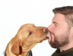 My miniature schnauzer pulls in the lead. We've tried everything. As I have  walking issues and use a stick I need to stop him pulling. My latest trick  is to stop walking