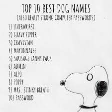 Pin On Best Dogs Name