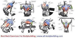 back exercises for bodybuilding bodybuildingnutrition