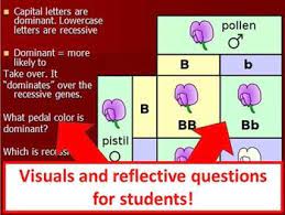 A Free 2 Slide Powerpoint Presentation Explaining The Difference And Probability O Middle School Science Resources Science Teaching Resources High School Fun
