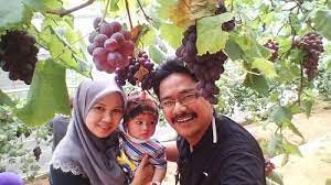 A trip to cameron highlands 2021 is about exploring the tea gardens, lavender gardens, and honey, butterfly park, mossy forest and strawberry farms. Things To Do In Cameron Highlands Attractions Places Cari Homestay