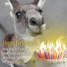 Pin On Funny Birthday Wishes