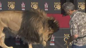 Amazon roars for mgm's lion, paying $8.45 billion for studio behind james bond and rocky file photo: Leo The Lion Helps Mgm Studios Celebrate Its 90th Birthday Youtube